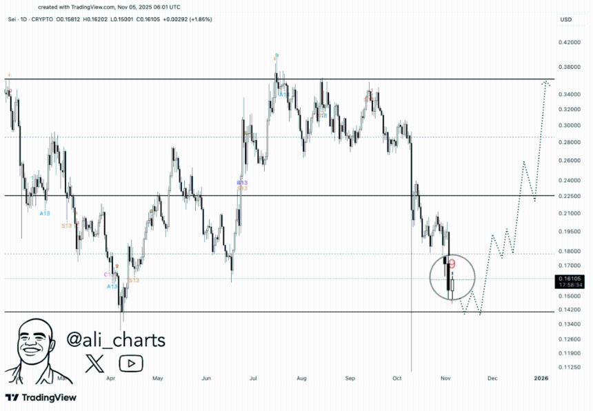 最新消息：币安成为SEI网络验证者，价格或将达到0.36美元