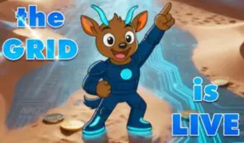 机构投资者入场前，2025年最值得关注的十大山寨币