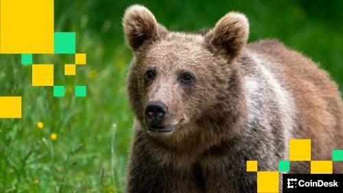 QCP警告比特币市场“极度看跌”：亚洲早间市场动态与分析