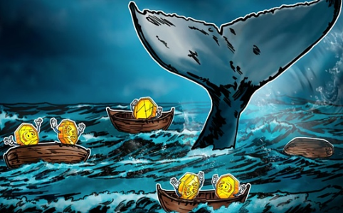 比特币市场走势是否真由“巨鲸”掌控？