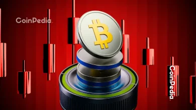  比特币关键看涨指标转正，即将反弹？ 