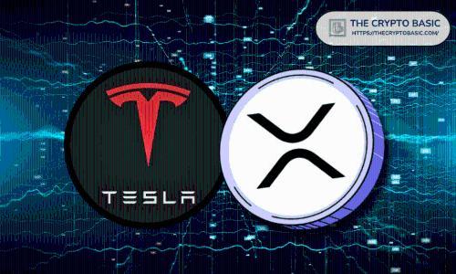 XRP或步特斯拉后尘：从质疑到逆袭的潜力之路