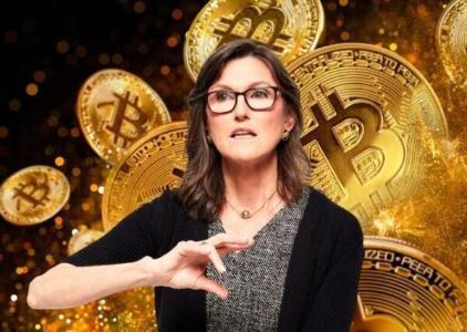 Cathie Wood 调整比特币预期：稳定币崛起为新兴市场主流，高收益加密货币预售成投资新宠