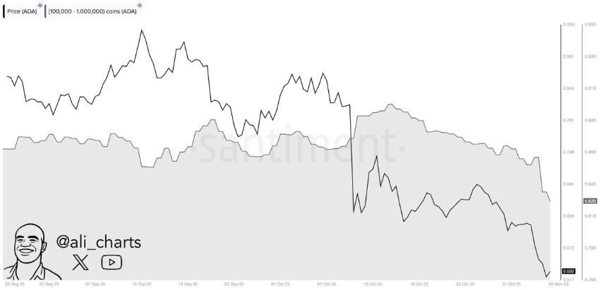 Cardano巨鲸减持引发市场震荡 — 7天内抛售400万枚ADA