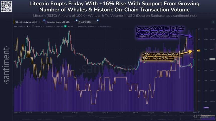莱特币价格突破：多头能否重回110美元？