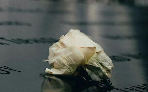 1011加密市场崩盘事件：Stream假中性策略真相曝光