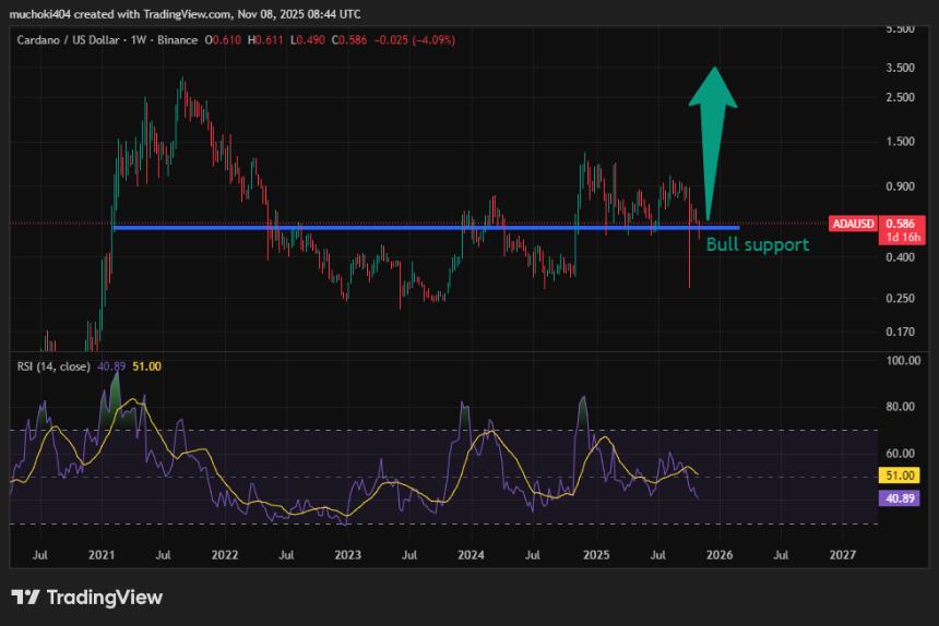  卡尔达诺 (ADA) 在 0.55 美元支撑位上方保持强劲，有望迎来 2020-2021 年风格的上涨行情 