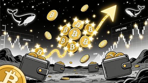 比特币巨鲸与机构投资者共同布局：市场回调中浮现囤积型投资机遇