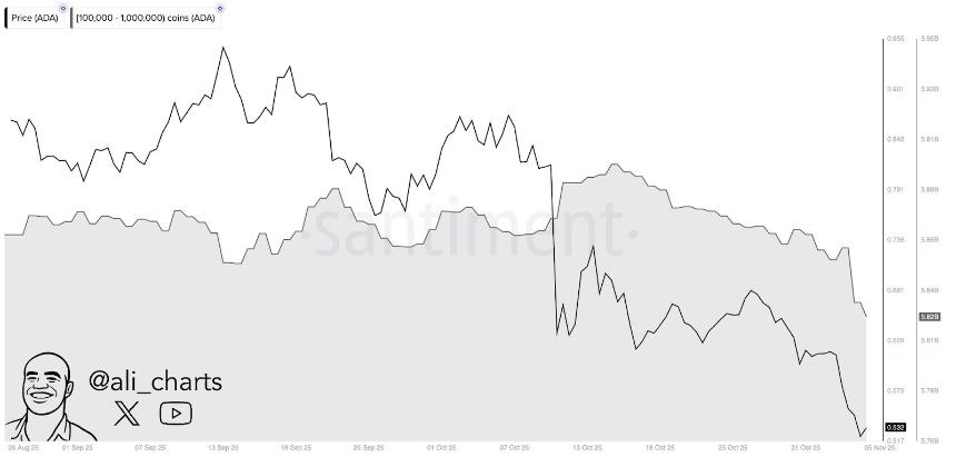  卡尔达诺 (ADA) 在 0.55 美元支撑位上方保持强劲，有望迎来 2020-2021 年风格的上涨行情 