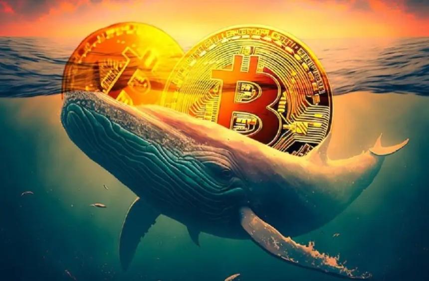 巨鲸动向再现：比特币面临关键支撑位考验，老牌加密货币价格剧烈波动