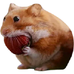  Decred (DCR) 2025、2026-2030 年价格预测：DCR 会突破 50 美元大关吗？ 