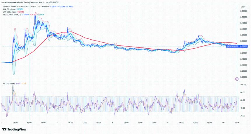 SAPEIN是什么？SAPEIN会是2025年下一个价值增长100倍的加密货币吗？