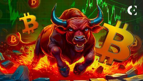 分析师：30项峰值指标显示加密货币市场牛市动能强劲