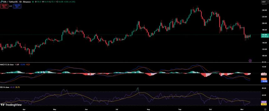 Solana强势复苏：买入信号与机构资金流入推动市场乐观情绪