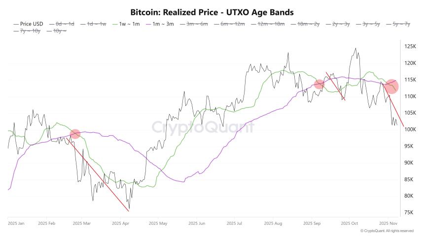 比特币UTXO年龄段划分显示，局部底部位于9.5万美元——原因如下