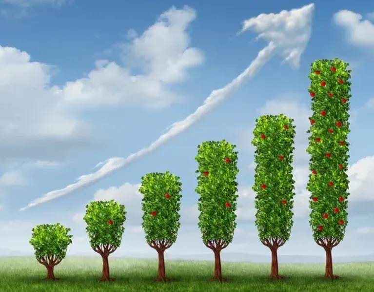 加密KOL在X起号全指南:从资料优化到上榜策略