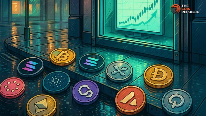  Uniswap巨鲸交易活跃度创四年新高，散户FOMO情绪高涨，UNI价格飙升70%。 