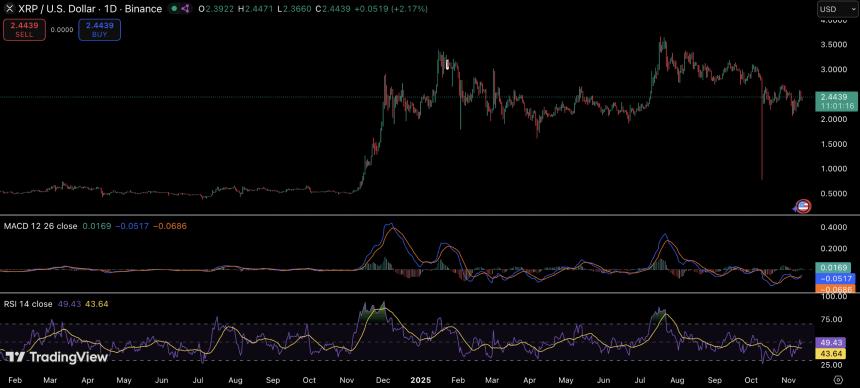 Ripple提醒投资者：警惕市场炒作，关注技术风险管理