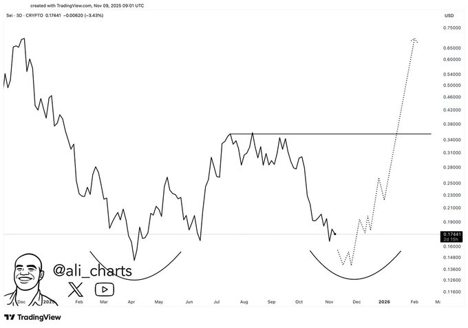  SEI 价格预测 2025：SEI 加密货币是否准备好迎接双底形态 400% 的反转？ 