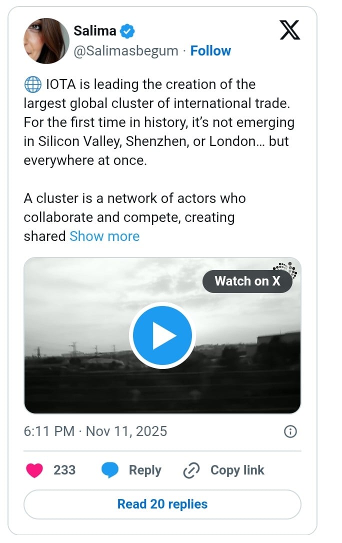 IOTA推动创建全球首个去中心化国际贸易集群