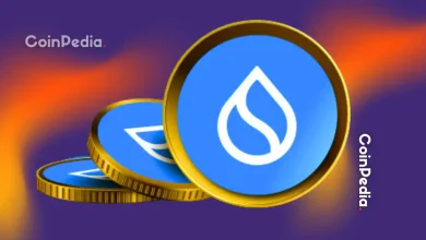  Uniswap巨鲸交易活跃度创四年新高，散户FOMO情绪高涨，UNI价格飙升70%。 