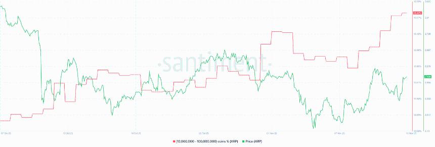  瑞波币价格预测：随着风险偏好情绪重燃，巨鲸加紧吸纳，XRP价格上涨 