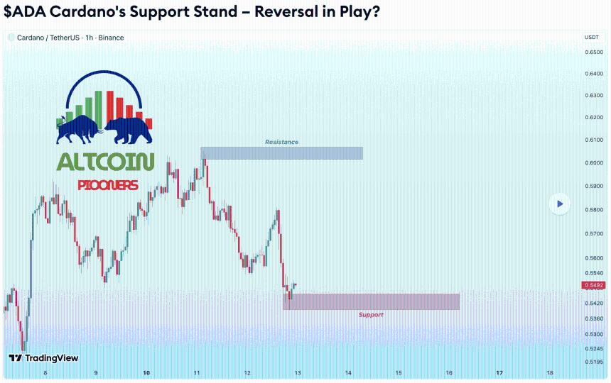 Screenshot 2025 11 13 at 34955 pm