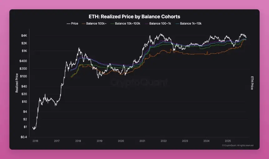 重新理解横盘:主流币正在经历巨鲸筹码大换手