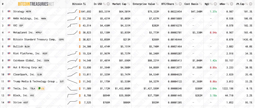 聚焦mNav跌破1的DAT公司:加密财库策略的未来何去何从?