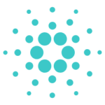  今日加密货币新闻【实时】更新（2025年11月13日） 