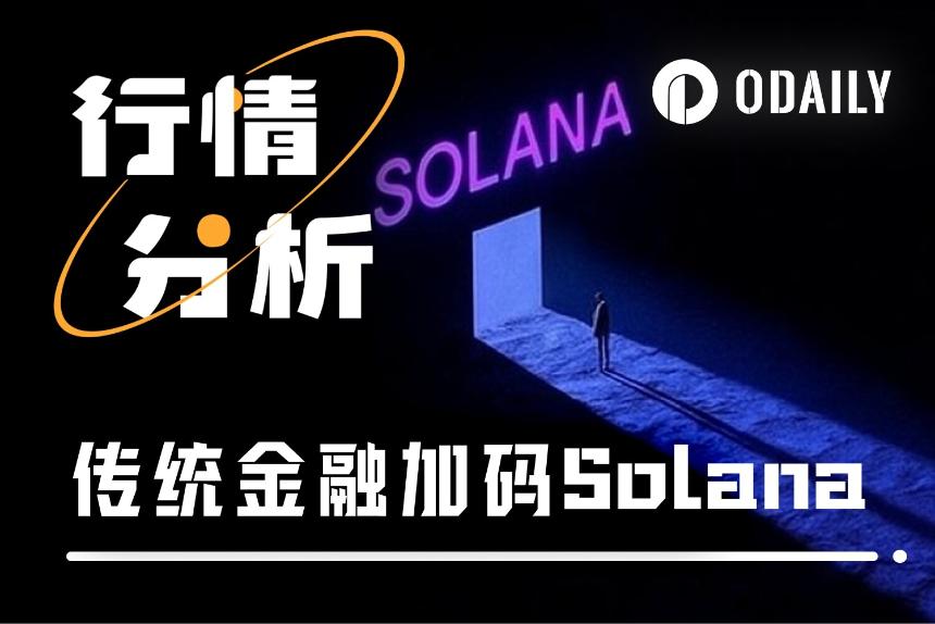 “SOL卫兵”莫慌,主力资金正悄然托底