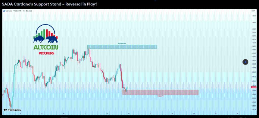 比特币分析师称:别看讣告了——Cardano 依然存在