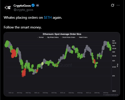  币安和贝莱德抛售以太坊，以太坊价格能否守住 3200 美元？ 