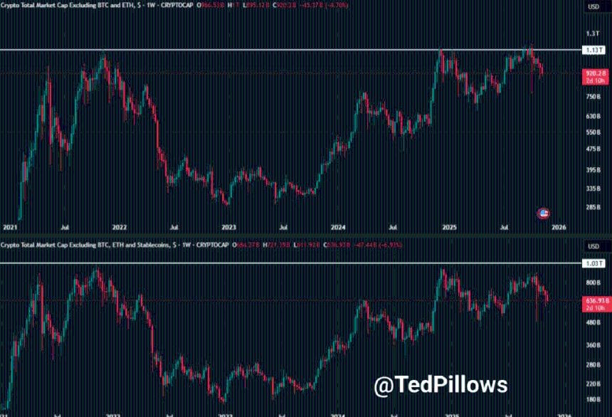  山寨币季来临了吗？分析师强调需要关注的风险 