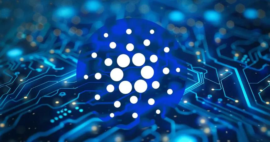 Cardano巨鲸沉寂五年后因流动性不足损失600万美元