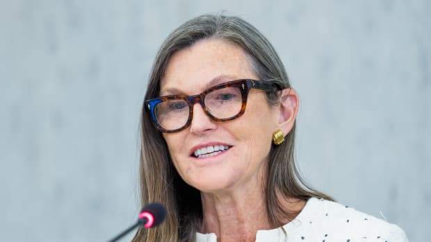  Cathie Wood 的 Ark Invest 认为，机构投资者将抵消比特币的抛售潮。 