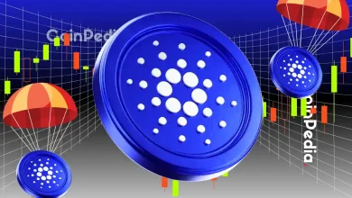  Cardano创始人公布Midnight’s NIGHT代币发行日期 