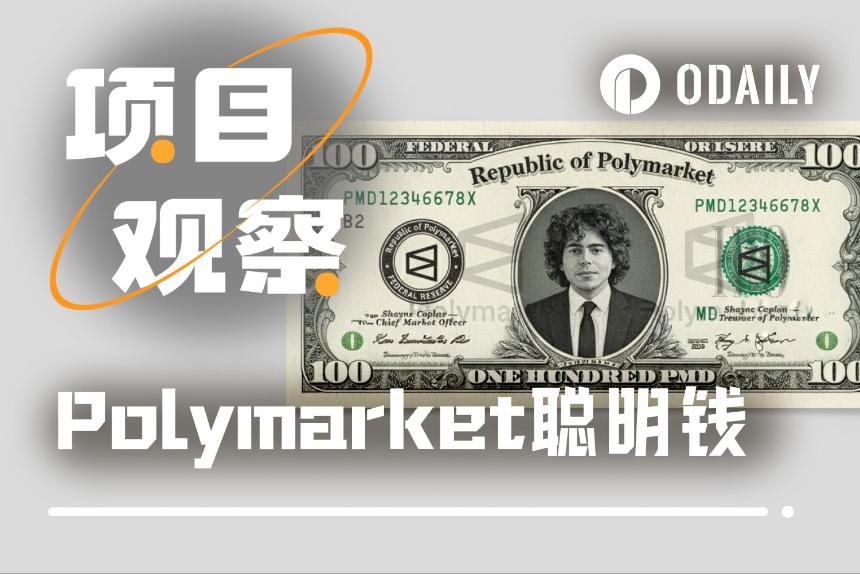 Polymarket实战：找到并跟对“聪明钱”的完整指南