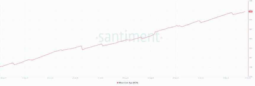 比特币现金价格预测：BCH上涨6%，暗示复苏迹象，但衍生品依然疲软。