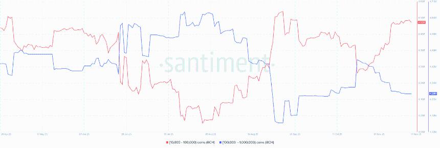 比特币现金价格预测：BCH上涨6%，暗示复苏迹象，但衍生品依然疲软。