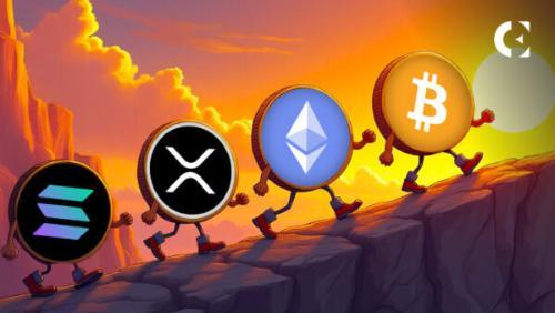 比特币、以太坊和瑞波币显现反弹信号，散户抛售或成上涨催化剂