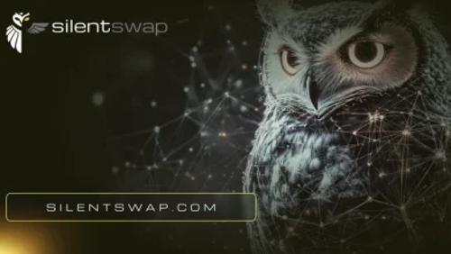 选择性透明：Web3隐私基础设施迈向机构规模的核心