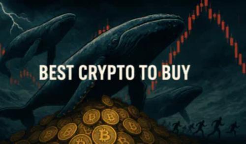 比特币巨鲸逆势抄底：市场极度恐慌下，最佳加密货币买入时机来临