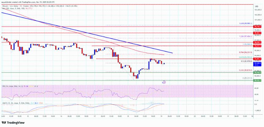 比特币在关键支撑位反弹，市场进入盘整阶段