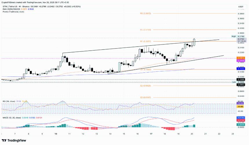 加密货币市场复苏：Starknet、Zcash与人工智能联盟领涨