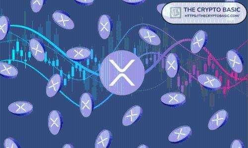 分析师预测：XRP ETF可能在一年内消耗全部公开供应量