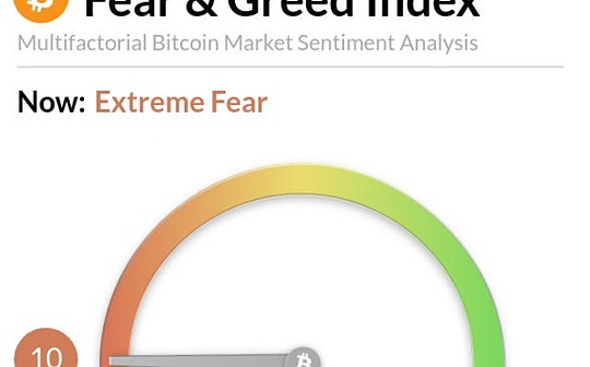  比特币巨鲸活动激增：分析师预计今年将出现最强劲的上涨行情 
