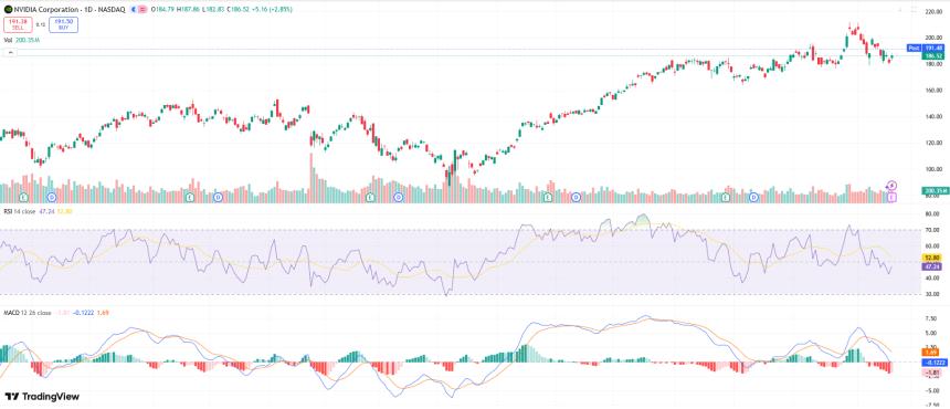 英伟达股票：第三季度财报发布，公司业绩超出预期，股价上涨5%