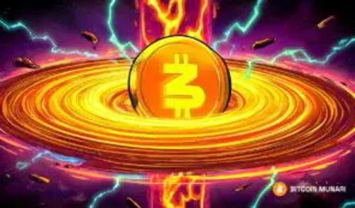 比特币Munari平台为早期投资者实现5900%回报率的经济模型解析