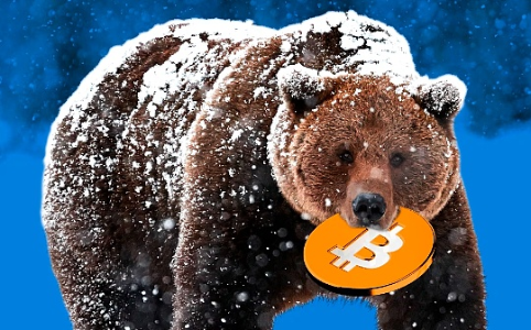 行情不断走低 巨鲸、DAT、ETF们都怎么样了？